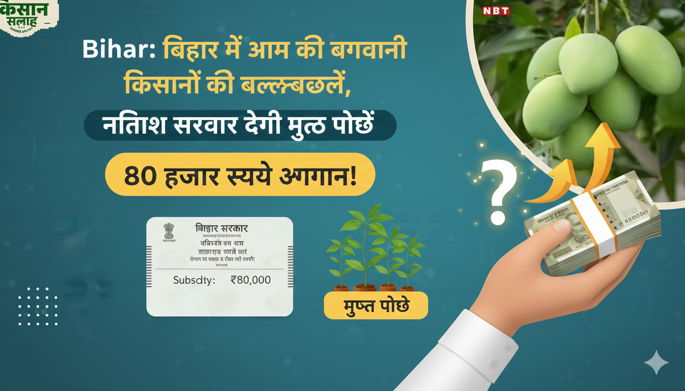 बिहार में आम के किसान खुश — मुफ्त पौधे + ₹80,000 अनुदान की बड़ी खबर